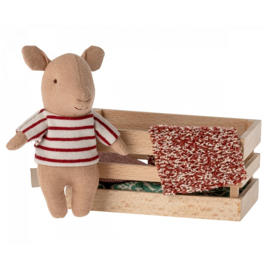 Schwein in der Box
