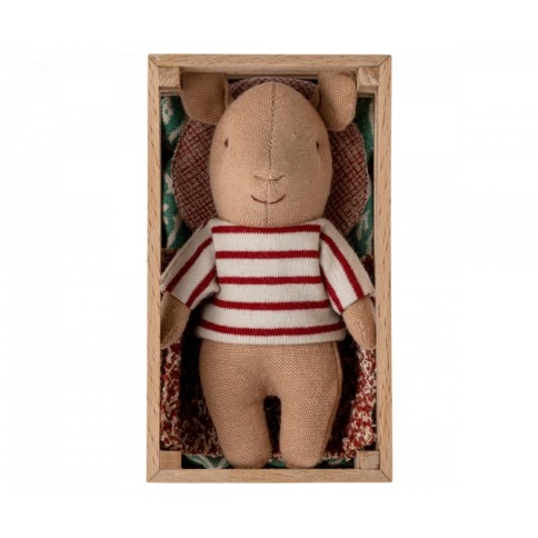 Schwein in der Box
