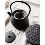 Teekanne NVCast