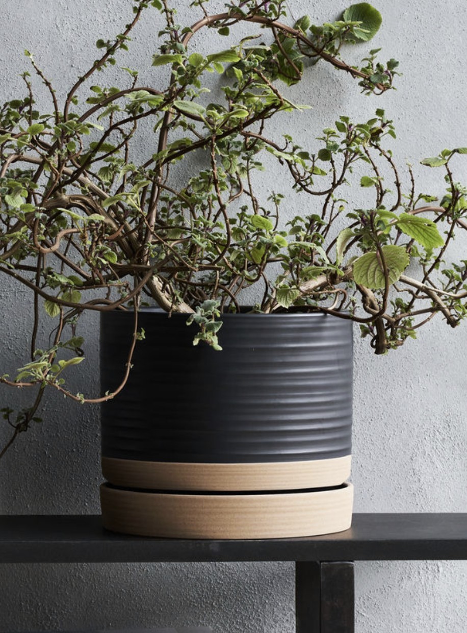 Blumentopf Set, Ansicht 2
