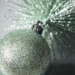 Ornament tree frost