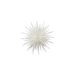 Stern Dust off white