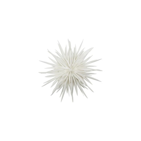 Stern Dust off white