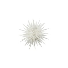 Stern Dust off white