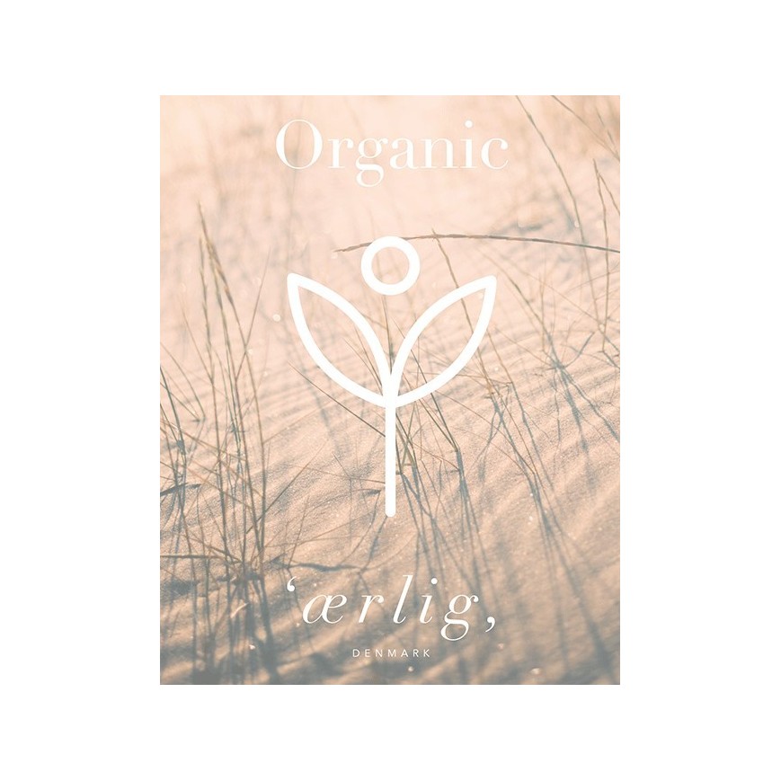 Eau de Parfum P06