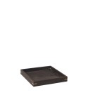 Japanese Tray