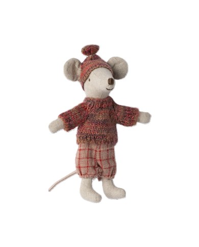 Wintermaus mit Skiset