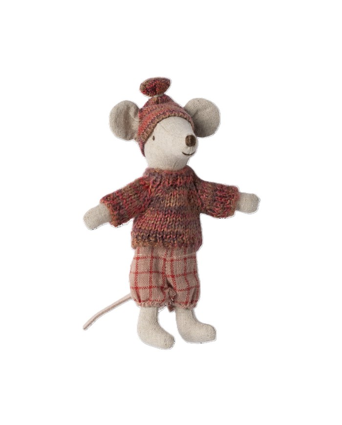 Wintermaus mit Skiset