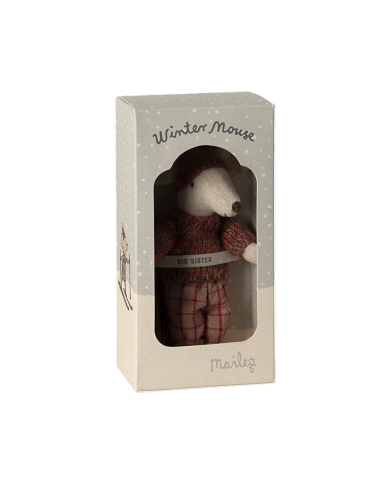 Wintermaus mit Skiset