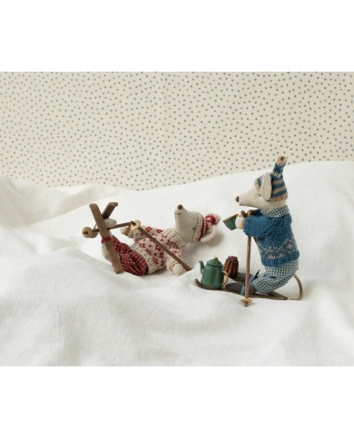 Wintermaus mit Skiset
