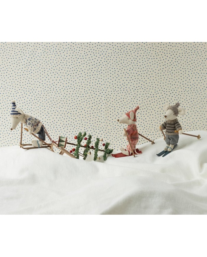 Wintermaus mit Skiset