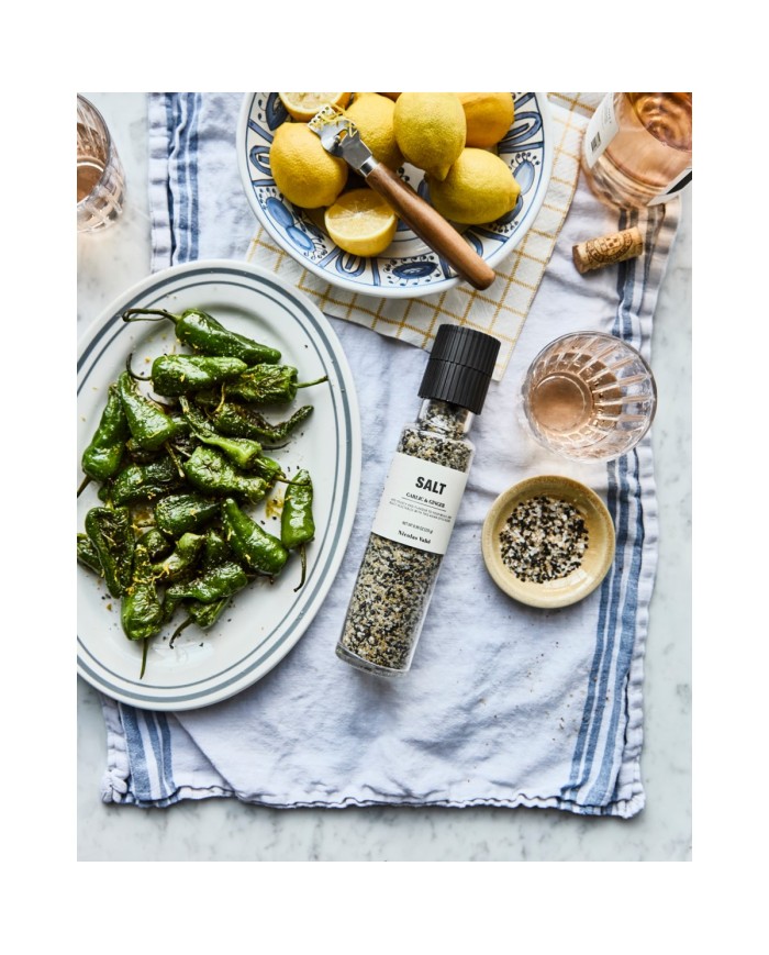 Salz mit Knoblauch und Ingwer
