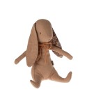 Hase
