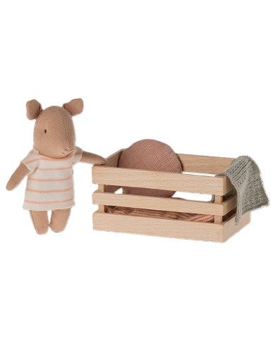 Schwein in der Box