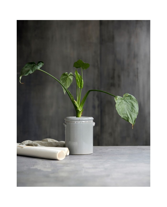 Blumentopf