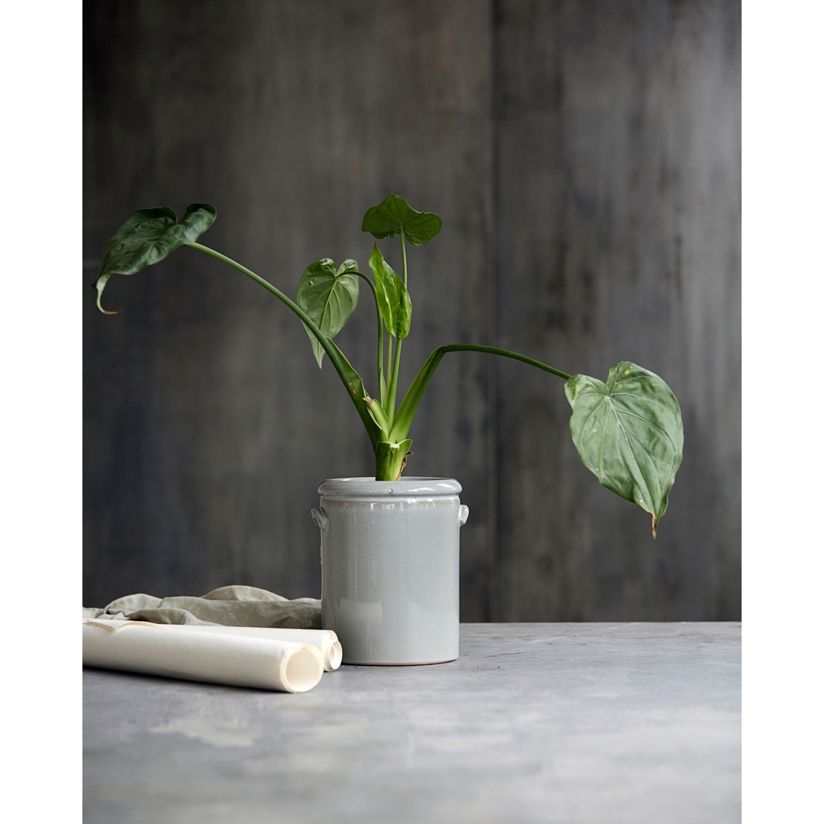 Blumentopf Pottery, Ansicht 4