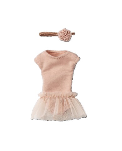 Hase mit Ballettanzug