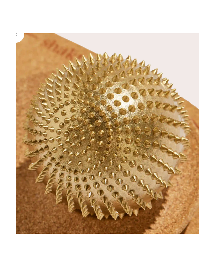 Shakti Spiky Ball
