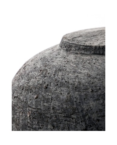 Lampe Tahi