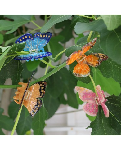 Haarklammer Schmetterling