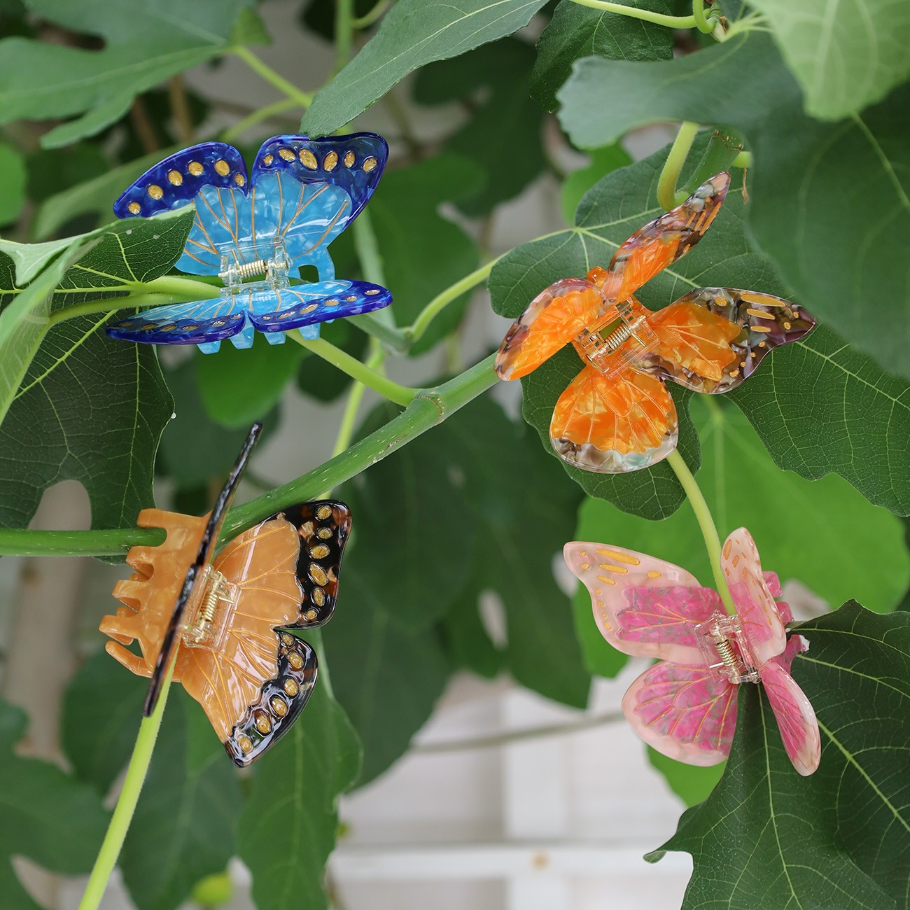 Haarklammer Schmetterling, Ansicht 2