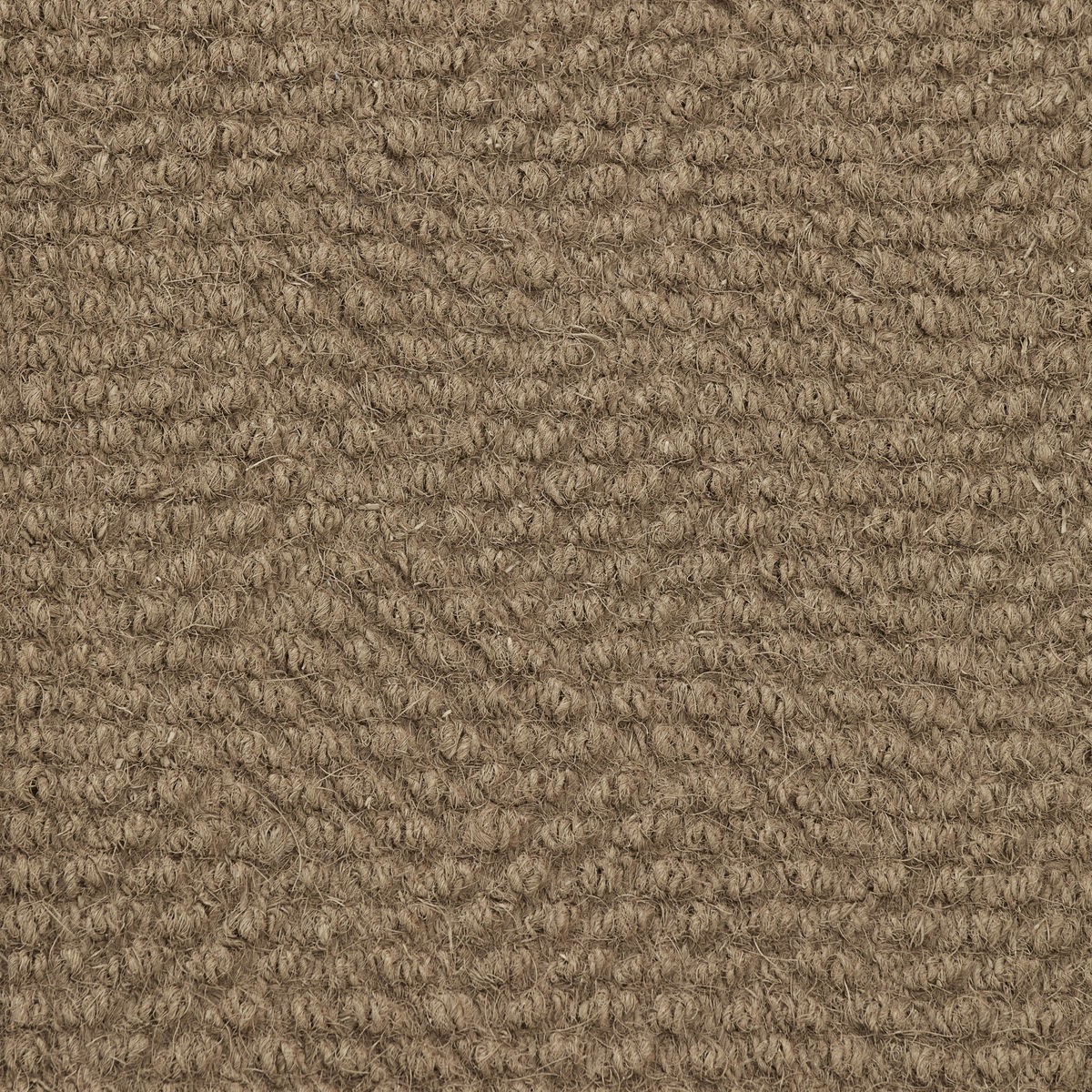 Türmatte Clean von House Doctor