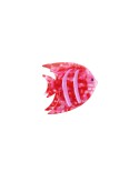 Haarklammer Fisch