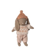 Winter Hase