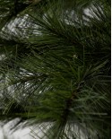 Weihnachtsbaum mit LED-Lichtern