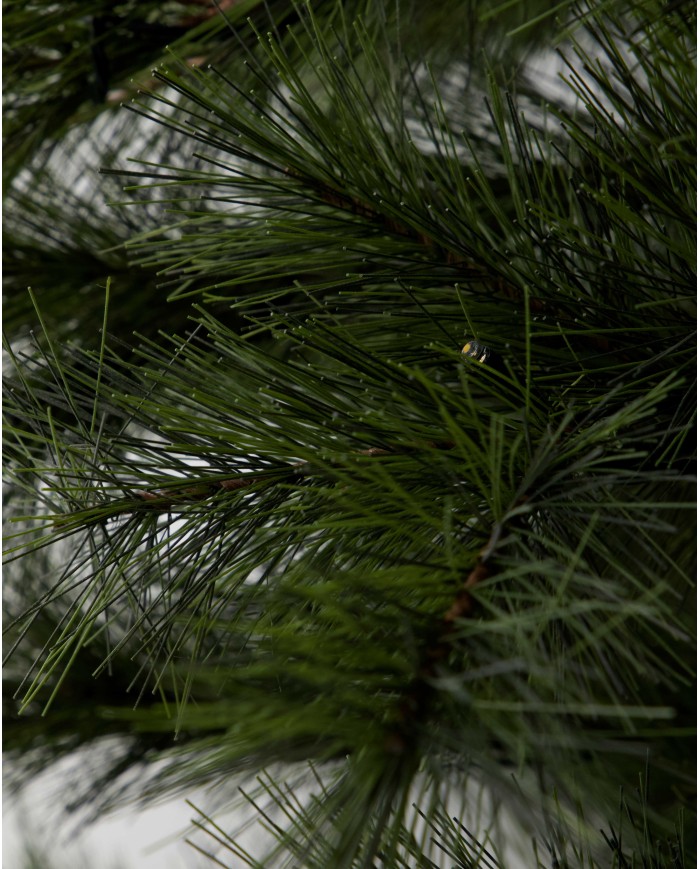 Weihnachtsbaum mit LED-Lichtern