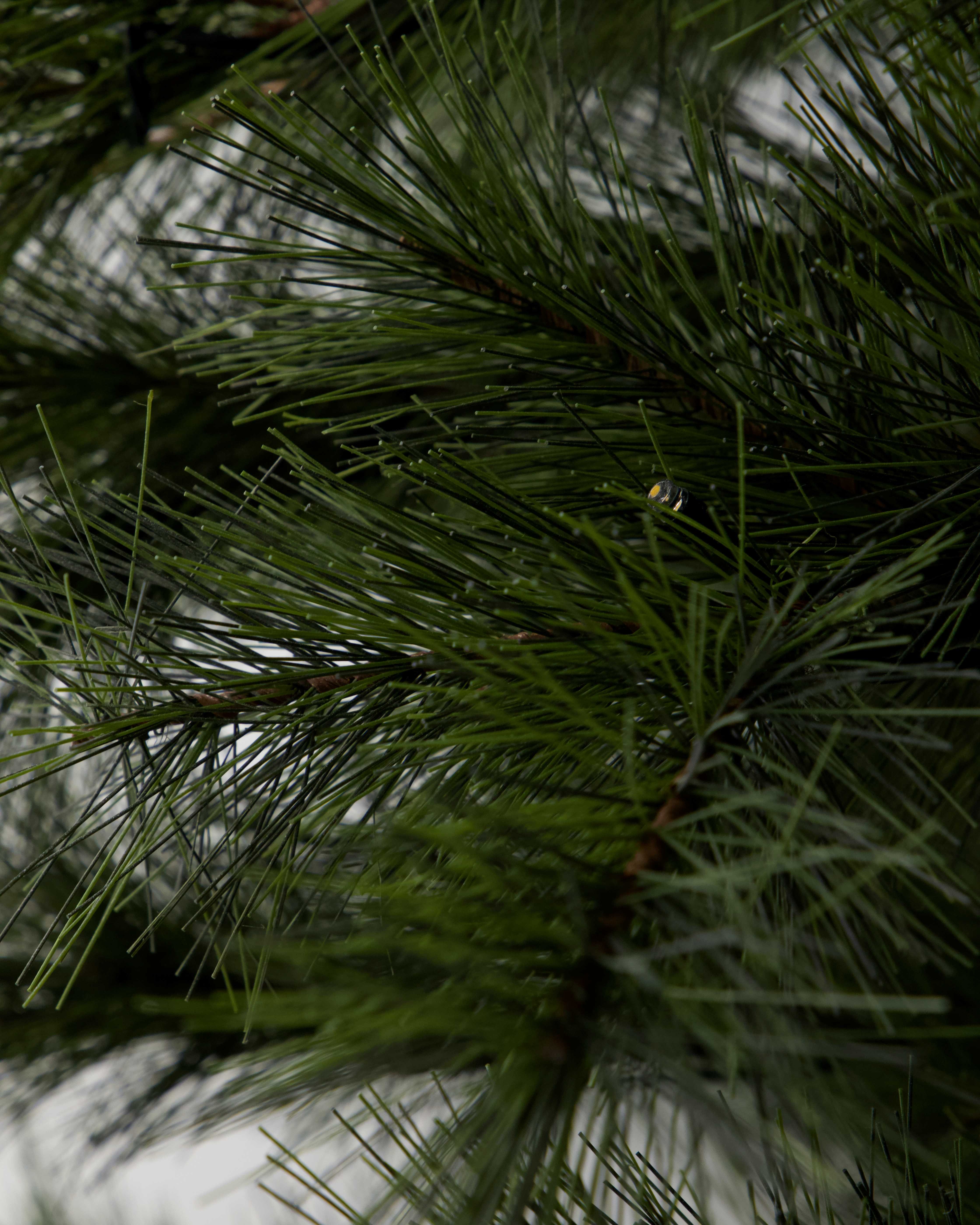 Weihnachtsbaum mit LED-Lichtern von House Doctor