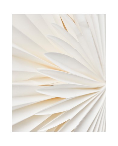 Stern Layer