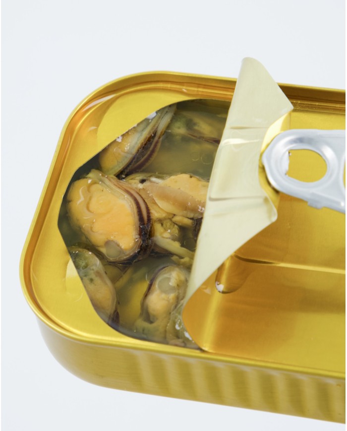 Muscheln