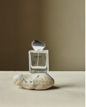 Eau de toilette Fern
