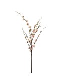 Pflaumenblüte