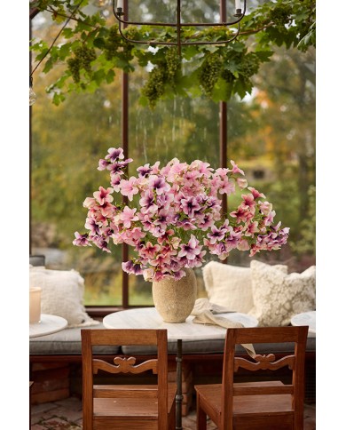 Petunia