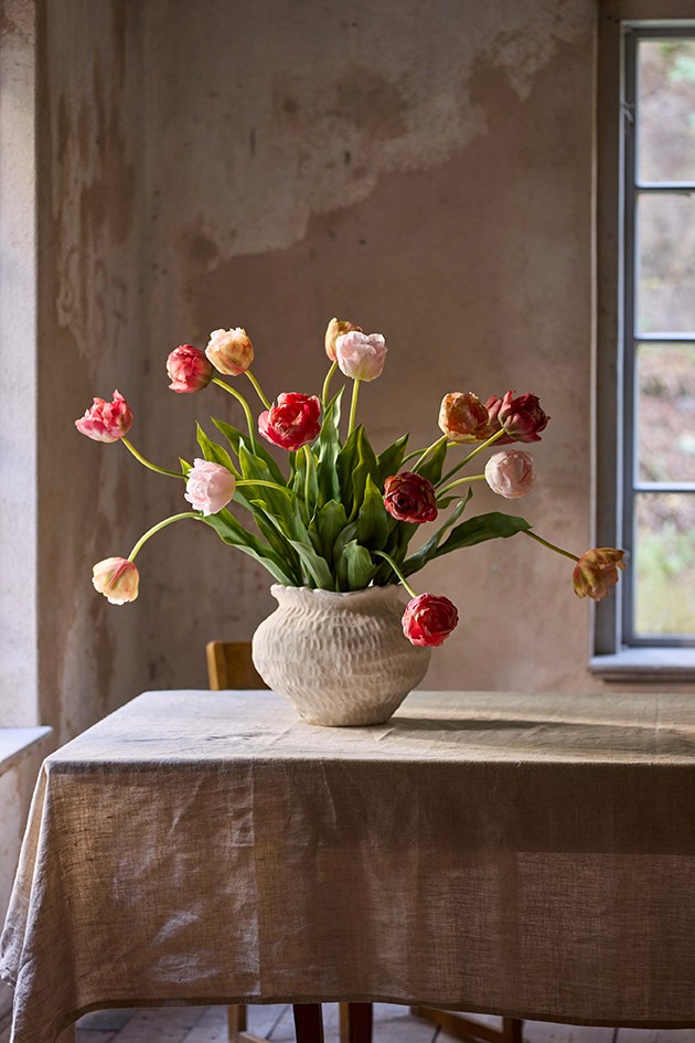 Tulpe, Ansicht 2