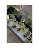Gewächshaus Simply Grow