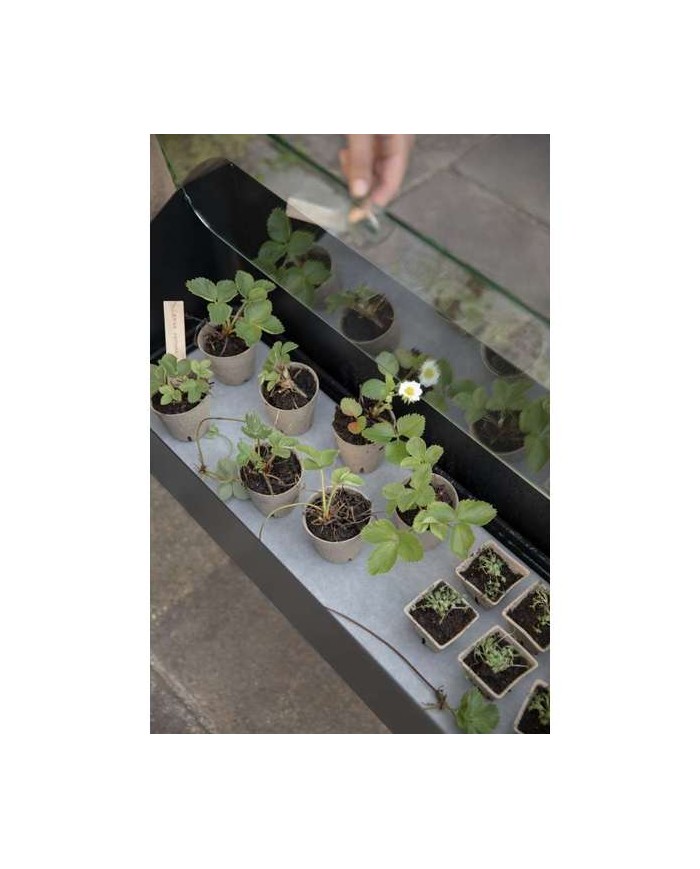 Gewächshaus Simply Grow