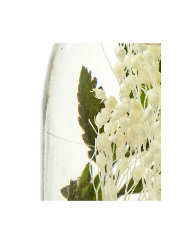 Diffuser Verbena Drizzle