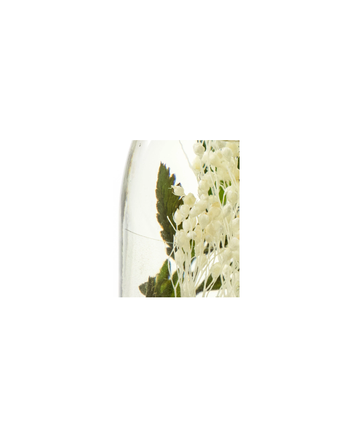 Diffuser Verbena Drizzle