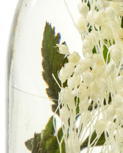 Diffuser Verbena Drizzle, Ansicht 3