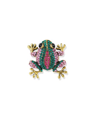 Frosch Brosche