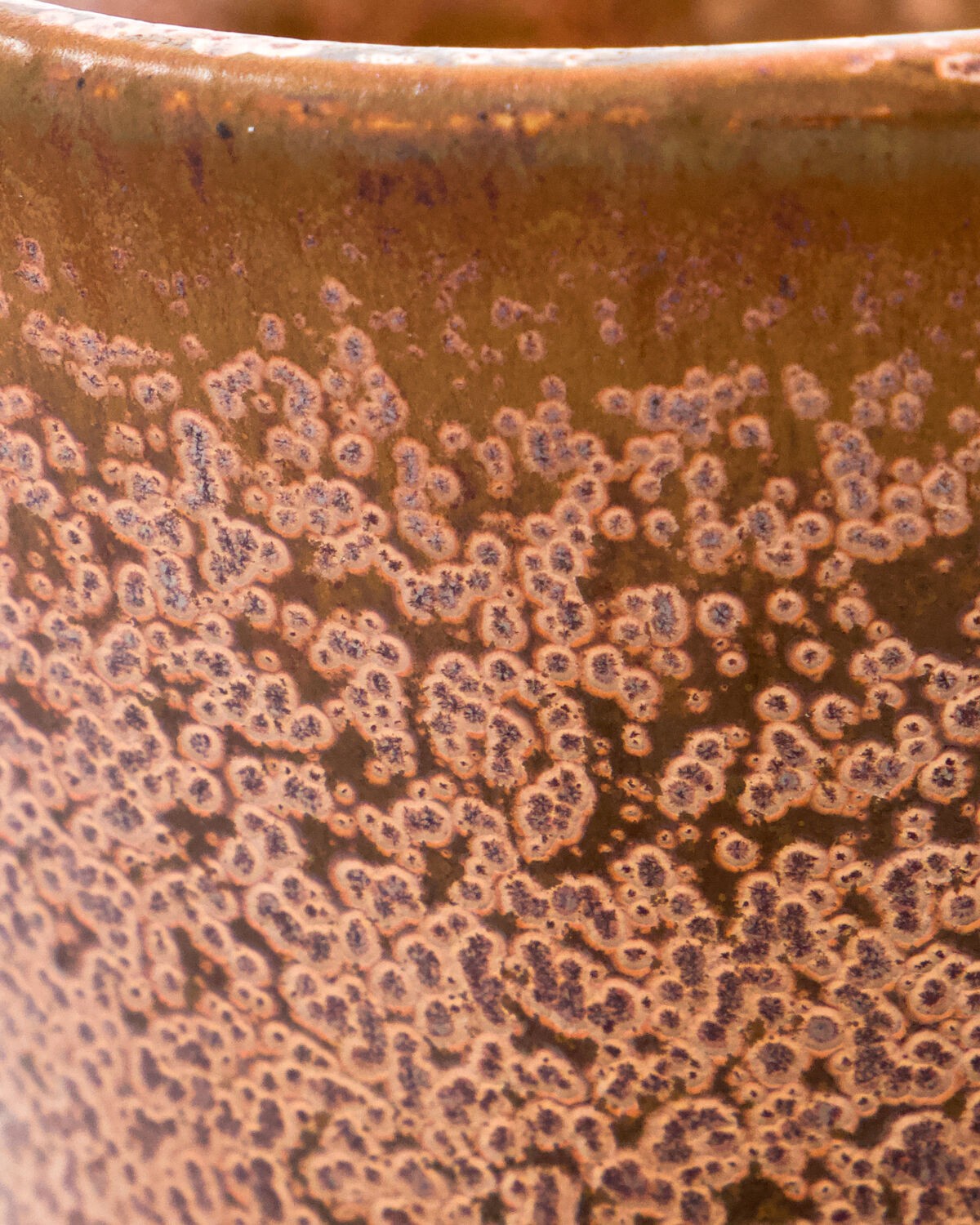 Vase Corp, Ansicht 3
