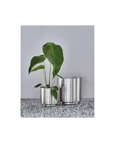 Blumentopf Bailey