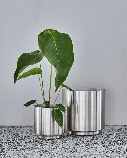 Blumentopf Bailey, Ansicht 2