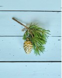 Weihnachtsschmuck cone