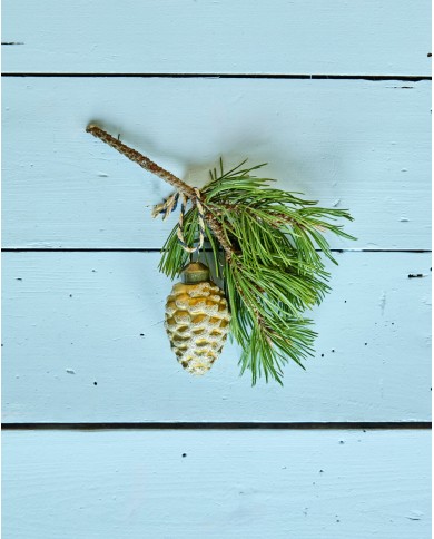 Weihnachtsschmuck cone