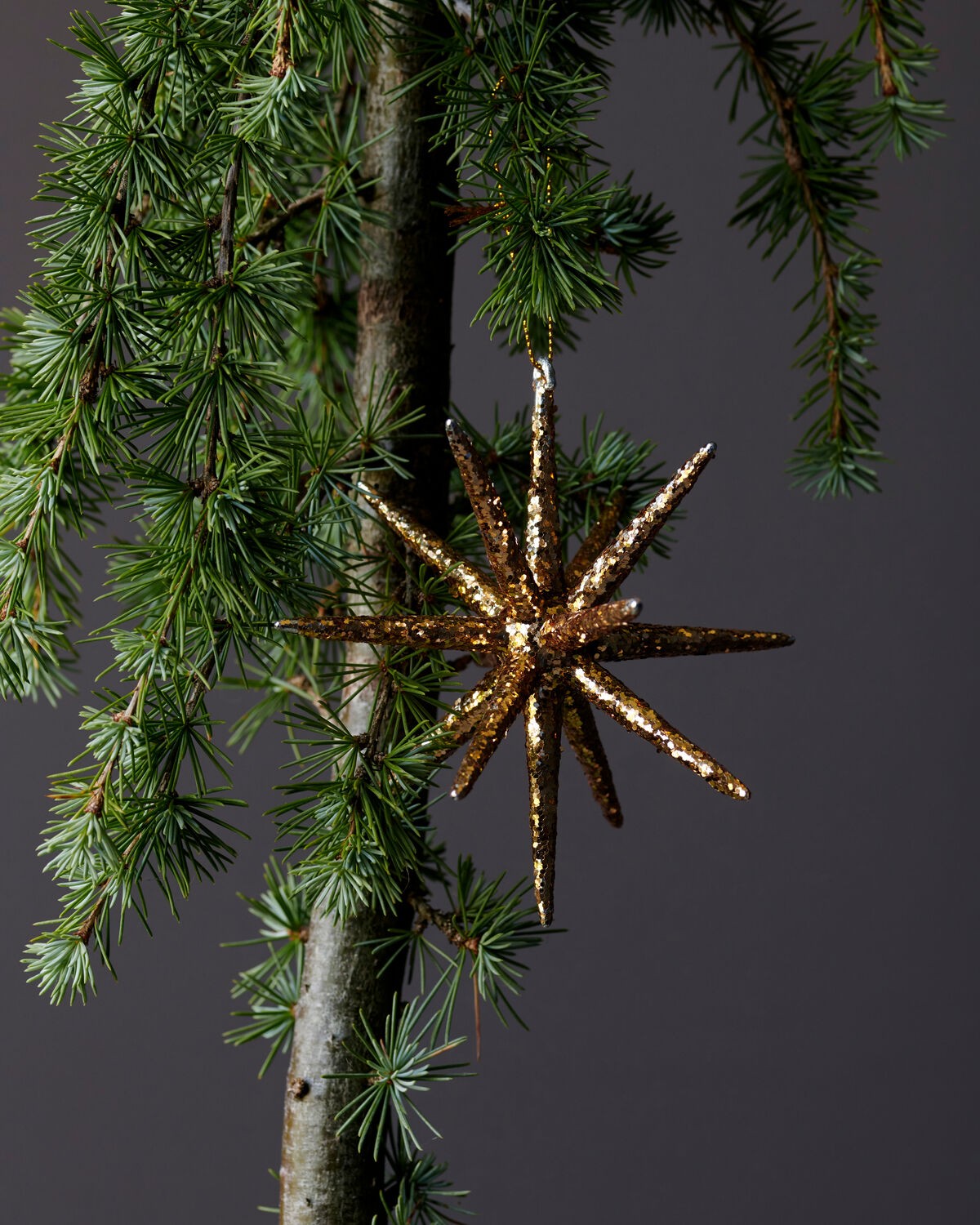 Weihnachtsschmuck Spike, Ansicht 3
