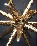 Weihnachtschmuk Spike